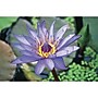 S&S 24-Piece Thera Jigsaw Foam Puzzle, 4 Puzzles/Set (19211)~#|#~83253FFC-ACE1-4C52-B976DBFCF51881EC_sc7