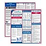 ComplyRight Federal and State Labor Law Poster Set (English), Rhode Island (E50RI)~#|#~833CC7AA-950C-448B-988047FC64DA2384_sc7