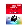Canon PG-295/CL-286 Black/Tri-Color Standard Yield Ink Cartridge, 2/Pack (7165C004)~#|#~838A49A8-5189-4889-853ADF74BBB2D33A_sc7