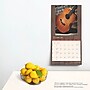 2025 BrownTrout Vintage Guitars 12" x 12" Monthly Wall Calendar (9781975478018)~#|#~83DFEA6F-9C6F-4E6F-AD519142270E1177_sc7