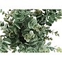 Monarch Specialties Inc. Eucalyptus Grass in Pots, 2/Pack (I 9581)~#|#~841D1036-7355-4B27-81877734C5D327A1_sc7