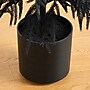 Nearly Natural Artificial Halloween Real Touch Black Norfolk Pine Christmas Tree, 4' (T5242)~#|#~84EA51F7-E5C2-4F8C-85A97FACAC169975_sc7