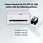 Canon PG-295XL/CL-286XL Black/Tri-Color High Yield Ink Cartridges, 2/Pack (7164C004)~#|#~8578FA51-2A79-498C-884B527B14098107_sc7