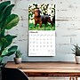 2026 BrownTrout Chocolate Labrador Retriever Puppies 12" x 12" Monthly Wall Calendar (9798330704200)~#|#~85D18185-46C1-44AD-979367919BF0B9F7_sc7
