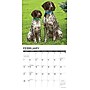 2027 Willow Creek German Shorthaired Pointers 12" x 12" Monthly Wall Calendar (60384)~#|#~85EB53FB-D417-4A1B-92F7133DB43FDE8C_sc7