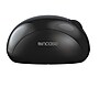 Incase Sculpt Ergonomic Designed by Microsoft Wireless Curved Laser Mouse, Black (L6V-00001)~#|#~861601E5-3721-40D5-8C4156D7820CFE2E_sc7