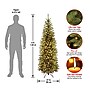 National Tree Company 6' Pre-Lit Kingswood Fir Artificial Christmas Tree (KW7-300-60)~#|#~86277932-FA34-4541-BAA34DF3EB2DF0AD_sc7