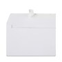 Window Business Envelope, V-Flap, #10, 250/Bx~#|#~865794E8-01DA-4511-97B3EF45F431A76B_sc7