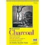 Strathmore 300 Series 9" x 12" Wire Bound Charcoal Sketch Pad, 32 Sheets/Pad, 3/Bundle (STTP33091-3)~#|#~86932BEE-CADA-4D56-90388FAC4D85BEB8_sc7