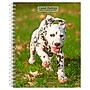 2026 BrownTrout I Love Puppies 6.5" x 7.75" Weekly Planner (9798330705269)~#|#~86B035AE-088D-4890-84E331DA6E31A556_sc7