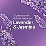 Clorox Scentiva Disinfecting Wipes, Lavender and Jasmine Scent, 75 Wipes/Container (60040)~#|#~870ABED4-B3CB-4BBC-8DD42CBED414CD9A_sc7