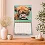 2027 BrownTrout Barnyard Friends 14" x 12" Monthly Wall Calendar, Assorted Colors (9798330715947)~#|#~87799105-B7C9-4F9C-B57841D28B86957C_sc7