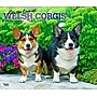 2026 BrownTrout For the Love of Welsh Corgis 14" x 12" Monthly Wall Calendar (9798330707195)~#|#~87AF6B52-58F1-4F9E-A1332104E03D030E_sc7