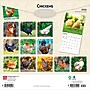 2026 BrownTrout Chickens 12" x 12" Monthly Wall Calendar (9798330702909)~#|#~87BC784C-6DCC-413B-A7DEF1E46F2659AD_sc7