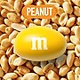 M&M's Sharing Size Peanut Milk Chocolate Pieces, 3.27 oz., 24 Bags/Box (MMM04432)~#|#~87F44AC9-1D31-4FC0-B38EE2BDD48C10A7_sc7