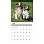 2027 Willow Creek 12" x 12" Monthly Wall Calendar, Assorted Colors (58930)~#|#~88273ACB-440B-437B-95B192A909995175_sc7