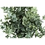 Monarch Specialties Inc. Eucalyptus and Grass in Pots, 2/Pack (I 9580)~#|#~8863277C-55B9-4DF5-ADBF4A32403DE243_sc7