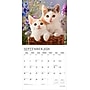 2026 Plato Kitten Cuddles 12" x 12" Monthly Wall Calendar (9798330706792)~#|#~8968A65F-BDE7-45BB-94F0D24A079E0720_sc7