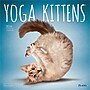2026 Plato Yoga Kittens 12" x 12" Monthly Wall Calendar (9798330701964)~#|#~8992B80A-D524-40CC-AB749042EB4DCAA9_sc7