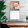 2026 BrownTrout Kittens & Puppies 12" x 12" Monthly Wall Calendar (9798330704101)~#|#~8A6FE2EE-C944-4383-9730D9EBFE76FC34_sc7