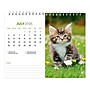 2026 BrownTrout Kittens 7.5" x 6" Monthly Desk Calendar (9798330704118)~#|#~8A8C536A-1040-4F9B-84AFA64F513F387F_sc7