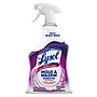 Lysol Mold & Mildew Remover Spray Bottle, 32 oz. (1920078915)~#|#~8AA0D5AA-CBC7-453A-87EAFA946DC5E0F4_sc7