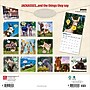 2026 BrownTrout Jackasses 12" x 12" Monthly Wall Calendar (9798330703982)~#|#~8AE41825-491F-45B4-A6DFB9908D1D6559_sc7