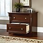 Sauder Palladia 2-Drawer Lateral File Cabinet, Letter/Legal Size, 37"W x 22"D, Select Cherry (412015)~#|#~8B04BC20-3A1B-4779-A13B47FF06FA26AE_sc7