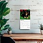 2026 BrownTrout Dachshunds 7" x 7" Monthly Wall Calendar (9798330703111)~#|#~8B5973A7-F886-426F-8D6B88B8F0DCA94D_sc7