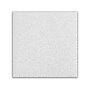 Armstrong OPTIMA Square Tegular Edge Ceiling Tile 15/16, 24" x 24", White, 12/Carton (BP3250E)~#|#~8B5F0E72-2DB6-4FD9-8240E35400971D73_sc7