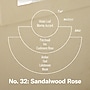 P.F. Candle Co. Classic Line Sandalwood Rose Reed Diffuser, 3.5oz. (RD32)~#|#~8B6A2637-8561-4FC7-88AA4DC881533478_sc7