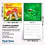 2027 BrownTrout Magic Mushrooms 12" x 12" Monthly Wall Calendar (9798330714025)~#|#~8B91BC8A-9D63-478F-A44CDBD9F4C8C7FB_sc7