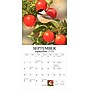 2026 BrownTrout Feathered Friends 12" x 12" Monthly Wall Calendar (9781773728780)~#|#~8B994BBC-E791-4982-881F1AE609C7353A_sc7
