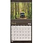 2025 BrownTrout Jeep 12" x 12" Monthly  Wall Calendar (9781975479794)~#|#~8BD72AD4-C007-4215-9CC980536227EA57_sc7