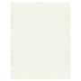 LUX 105 lb. Cardstock Paper, 8.5" x 11", Quartz Metallic, 1000 Sheets/Pack (81211-C-72-1000)~#|#~8C933E18-A0BC-4860-9AD86A455C9C6924_sc7