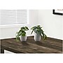 Monarch Specialties Inc. Alocasias in Pots, 2/Pack (I 9582)~#|#~8CA1C0C6-7B28-4D83-BC5AD1B030F656DA_sc7