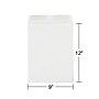 Staples Gummed Kraft Catalog Envelopes, 9" x 12", Gray, 100/Box (SPL381968)~#|#~8CCCD75B-292A-48A1-90B1DB0FB054EC4A_sc7