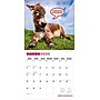 2026 BrownTrout Jackasses 12" x 12" Monthly Wall Calendar (9798330703982)~#|#~8CF1BBC4-86D1-4C41-AE36A9EFD44650C8_sc7