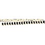 Barker Creek Double-Sided Scalloped Border, 36" x 2.25", Gold Bars, 26/Pack (BC3697)~#|#~8D5E8775-D0EC-4B56-A71B3FDE9C64453C_sc7