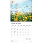 2026 Plato Psalms 12" x 12" Monthly Wall Calendar (9798330706716)~#|#~8E1240DD-9527-4F38-AF1D50EBE35CECA6_sc7