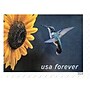 USPS Garden Delights Forever 20 Postage Stamps (FOR-GARDENDE-20)~#|#~8E280FB3-14AD-4556-A7F79E0F70D3E6E2_sc7