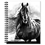 2026 BrownTrout The BrownTrout Portrait Series: The Noble Horse 6.5" x 7.75" Weekly Planner (9798330703746)~#|#~8E757165-6601-4E00-9958EA5613EDDF90_sc7