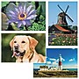S&S 24-Piece Thera Jigsaw Foam Puzzle, 4 Puzzles/Set (19211)~#|#~8EB7D0F7-CEAF-4852-BD142F10A438D8EC_sc7