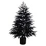 Nearly Natural Artificial Halloween Real Touch Black Norfolk Pine Christmas Tree, 6' (T5244)~#|#~8F1C9974-EFDA-4323-9F7535E40B05FEC8_sc7