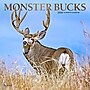2026 Plato Monster Bucks 12" x 12" Monthly Wall Calendar (9798330706884)~#|#~8F1D63BC-CAF2-41CB-8A3650D9DFFD3CDA_sc7