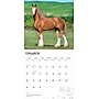 2026 BrownTrout Clydesdales 12" x 12" Monthly Wall Calendar (9798330702954)~#|#~8F3FF353-2777-4E6C-A5182A50B0CB02EC_sc7