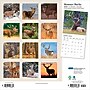 2026 Plato Monster Bucks 12" x 12" Monthly Wall Calendar (9798330706884)~#|#~8F6C4FE3-E684-416B-BFD7F0C8B3C46D26_sc7