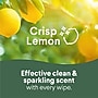 Clorox Disinfecting Wipes, Crisp Lemon Scent, 75 Wipes/Container (31404)~#|#~8F9D96CF-A75E-4E67-87D6C2E3076DCCBA_sc7