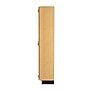 Diversified Woodcrafts Microscope Epoxy, Oak Wood Storage Case (372-4816K)~#|#~90379E11-505C-4D76-A163A8B99010471B_sc7
