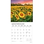2026 Plato Sunflowers 12" x 12" Monthly Wall Calendar (9798330706655)~#|#~904F6B3E-9392-465A-B85EE99B787463C6_sc7
